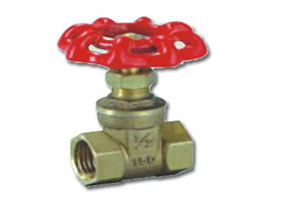 Absperrschieber FXF