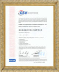 GSV